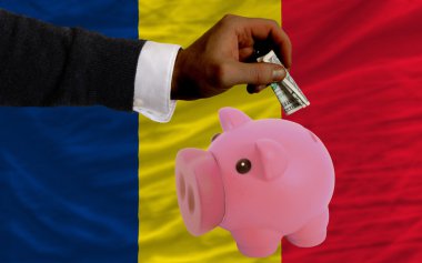 dolar zengin piggy banka ve Çad'ın ulusal bayrak