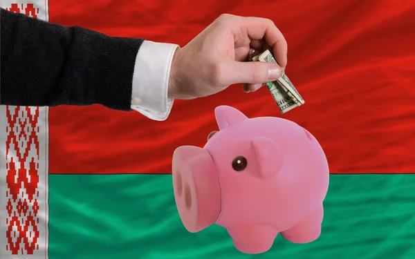 Dollaro in salvadanaio ricco di porcellini e bandiera nazionale della Bielorussia — Foto Stock