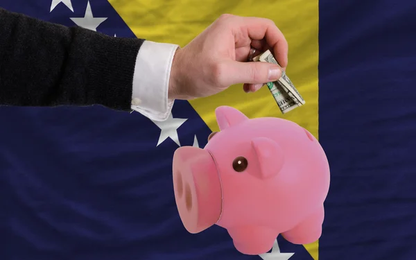 Dollar in piggy rijke bank en de nationale vlag van Bosnië Herzegovina — Stockfoto