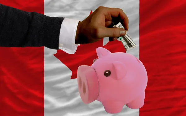 Dollar till rika piggy bank och nationella flagga Kanada — Stockfoto