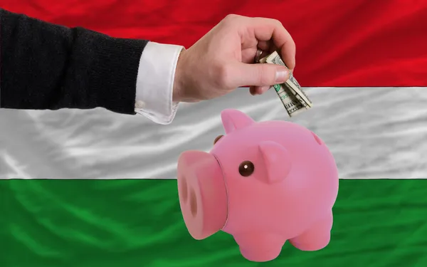 Dolar w piggy bank bogaty i flagi narodowej Węgier — Zdjęcie stockowe