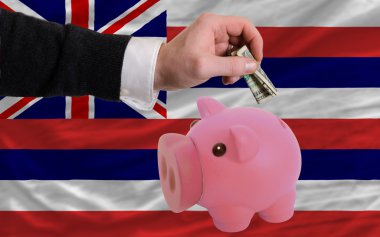 dolar zengin piggy banka ve hawai Amerikan Devleti'nin bayrağı