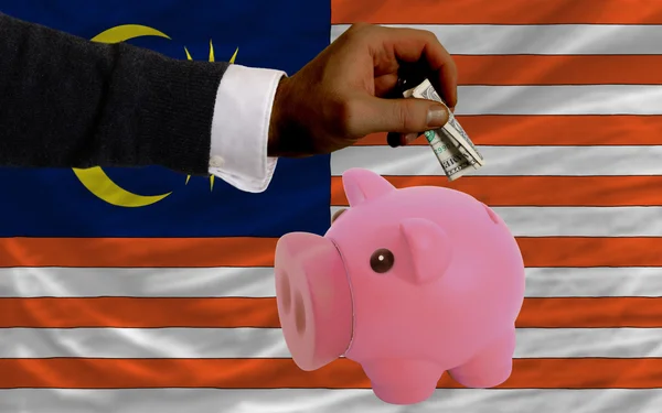 Dólar em porquinho rico banco e bandeira nacional da Malásia — Fotografia de Stock
