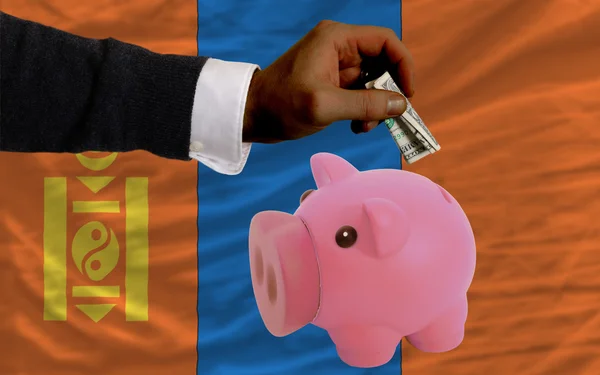 Dólar em porquinho rico banco e bandeira nacional da Mongólia — Fotografia de Stock