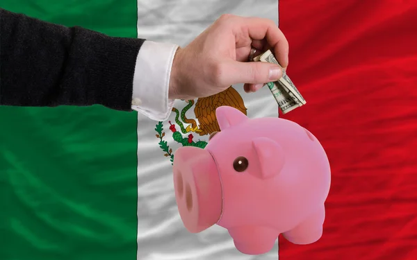 Dólar em porquinho rico banco e bandeira nacional do México — Fotografia de Stock