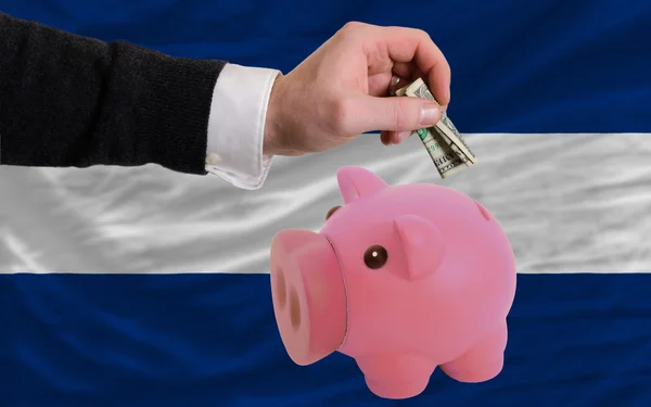 Dollar in piggy rijke bank en de nationale vlag van nicaragua — Stockfoto