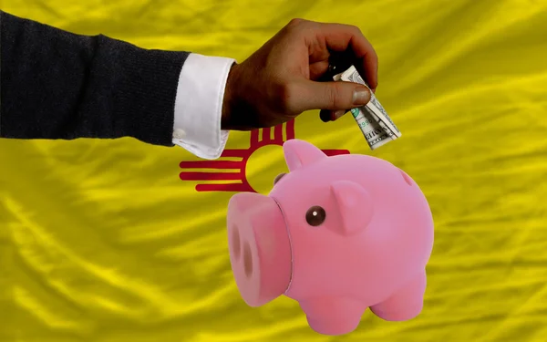 Dollar till rika piggy bank och amerikansk flagg av nya m — Stockfoto