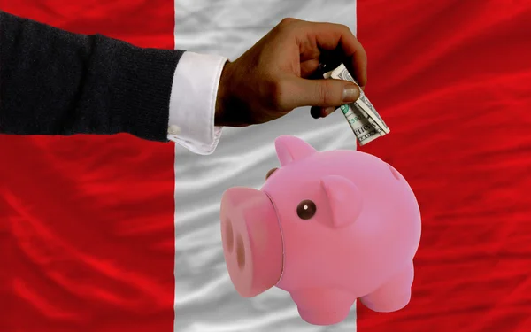 Dollar till rika piggy bank och nationella flagga i peru — Stockfoto