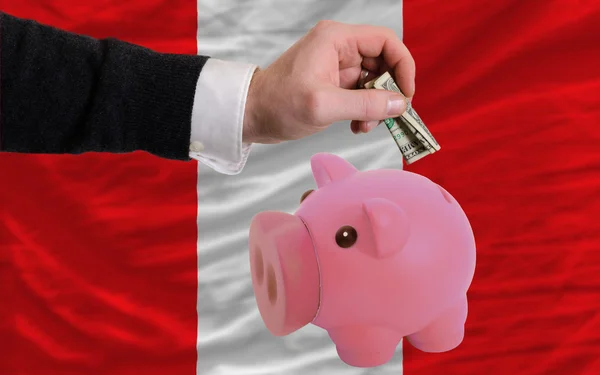 Dollar in piggy rijke bank en de nationale vlag van peru — Stockfoto