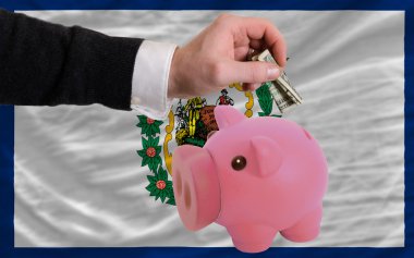 dolar zengin piggy banka ve Amerikan Batı Devleti'nin bayrağı