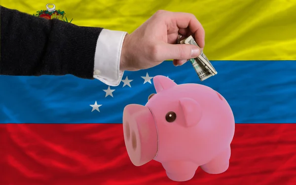 Dólar em porquinho rico banco e bandeira nacional da venezuela — Fotografia de Stock
