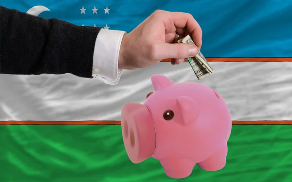 Dollaro in salvadanaio ricco di porcellini e bandiera nazionale dell'uzbekistan — Foto Stock