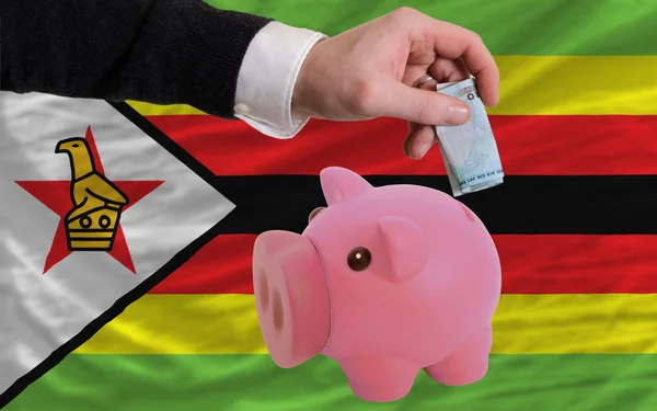 Funding euro into piggy rich bank national flag of zimbabwe — Stock Photo, Image