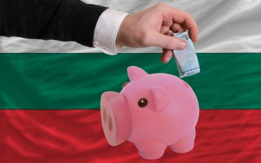 domuz zengin Euro finansman banka Bulgaristan Ulusal bayrak