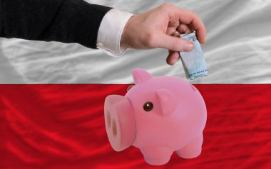 domuz zengin Euro finansman bank Polonya bayrağı