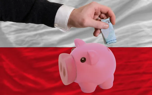 Finansiering euro i piggy rika bank medborgare sjunker av Polen — Stockfoto