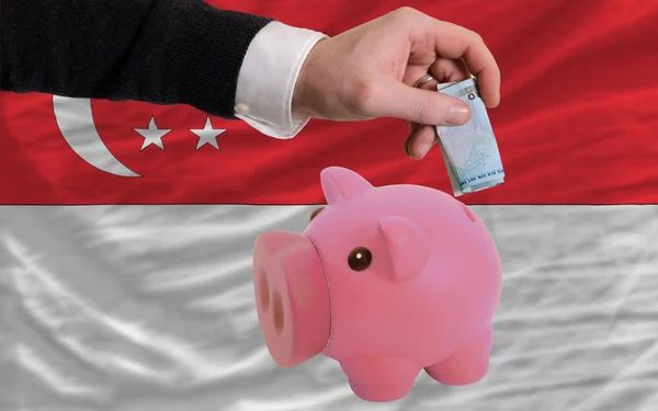 Financování eura do piggy rich bank národní vlajka Singapuru — Stock fotografie