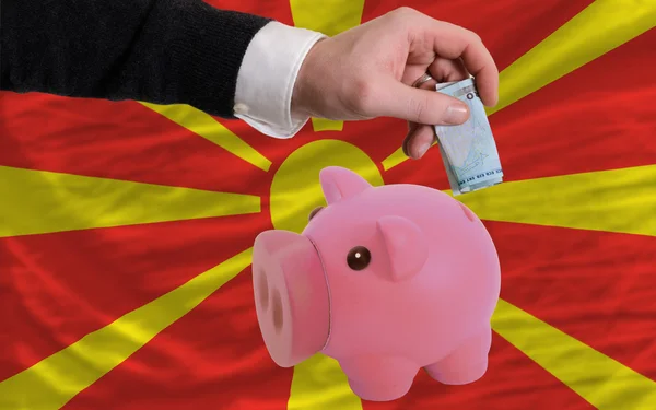 Finansowanie euro bogaty piggy bank flagę Macedonii — Zdjęcie stockowe