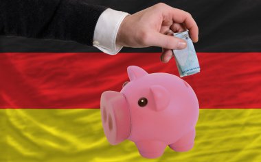 domuz zengin Euro finansman banka Almanya bayrağı