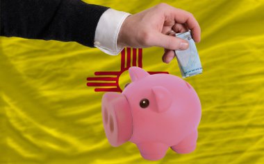 Euro finansman domuz zengin Amerikan Devleti'nin bayrağı yeni banka