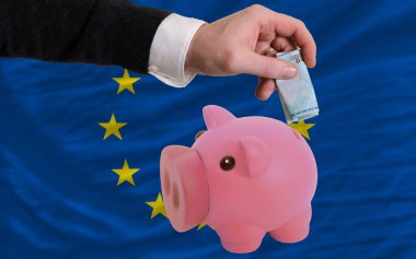 domuz zengin Euro finansman banka Avrupa bayrağı
