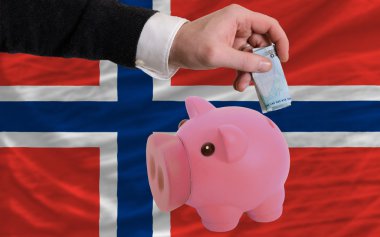 domuz zengin Euro finansman banka Norveç bayrağı