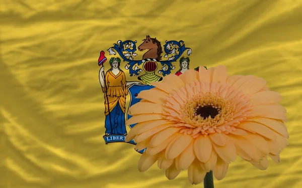 Gerbera kvetou před vlajkou z amerického státu new jersey — Stock fotografie