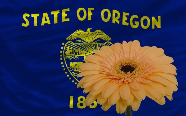 Gerbera flower in front flag of american state of oregon — Stock Photo, Image