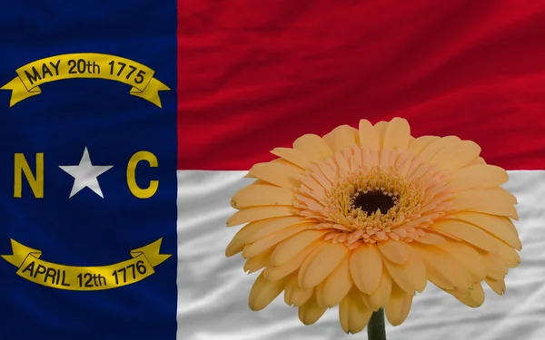 Gerbera flower in front flag of american state of north carolin — Stock Photo, Image