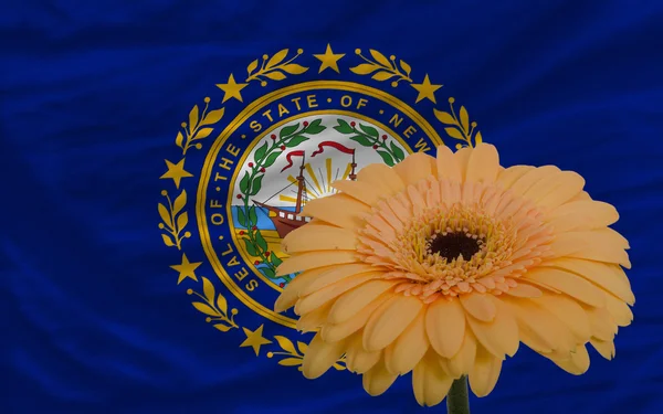 Gerbera flower in front flag of american state of new hampshire — стоковое фото