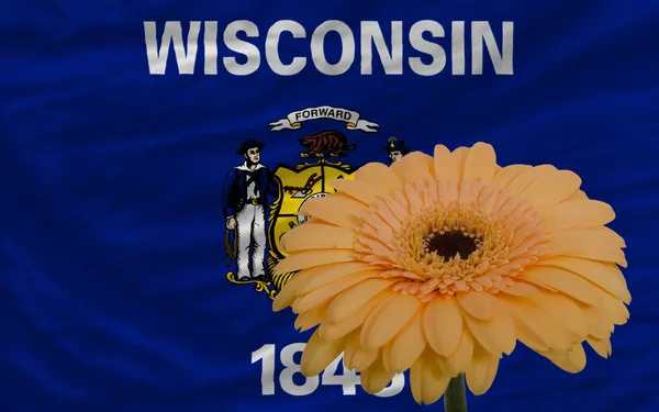 Gerbera flower in front flag of american state of wisconsin — Stock Photo, Image