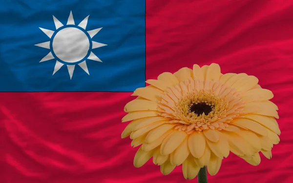 Taiwanian图库照片 免版税taiwanian图片 Depositphotos