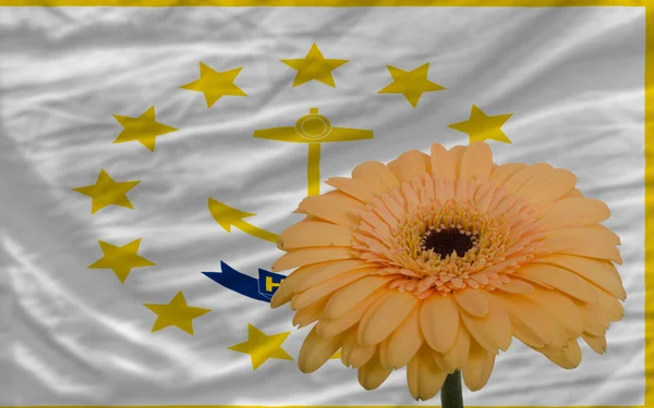 Gerbera bloem op de voorgrond vlag van Amerikaanse staat van rhode island — Stockfoto