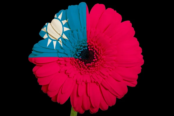 Taiwanian图库照片 免版税taiwanian图片 Depositphotos