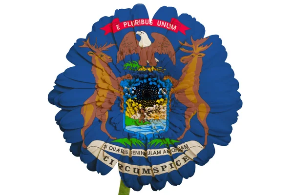 Gerbera flor de margarita en colores bandera del estado americano de michiga — Foto de Stock