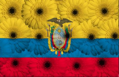 stylized national flag of ecuador with gerbera flowers