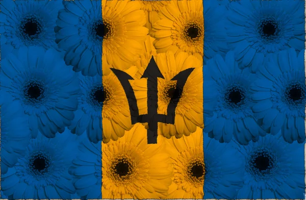 Gestileerde nationale vlag van barbados met gerbera 's — Stockfoto