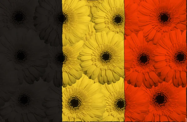 Bandera nacional estilizada de belgium con flores de gerberas — Foto de Stock