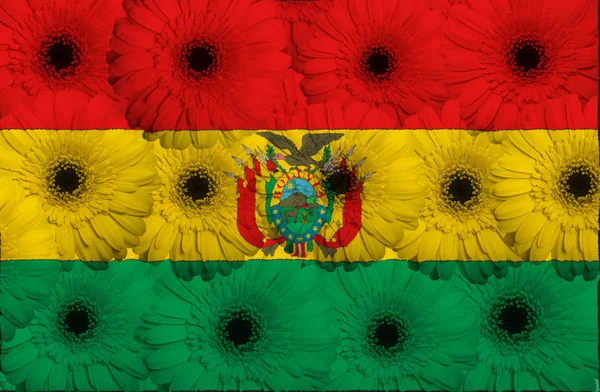 Stylizované národní vlajky Bolívie s květy, gerbera — Stock fotografie