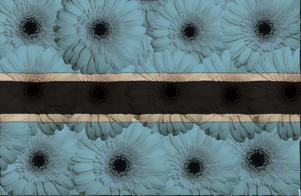 程式化的国旗，博茨瓦纳非洲菊鲜花 — 图库照片