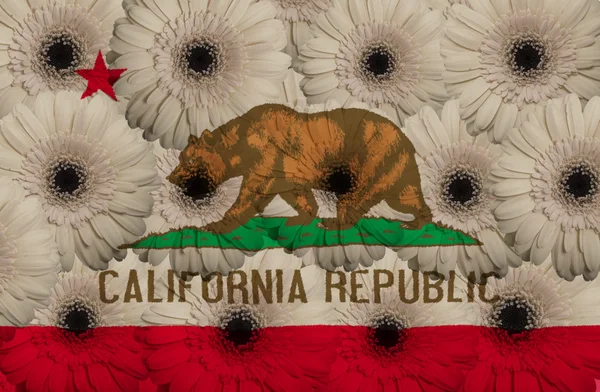アメリカのカリフォルニア州とガーベラ f の様式化された旗 — ストック写真