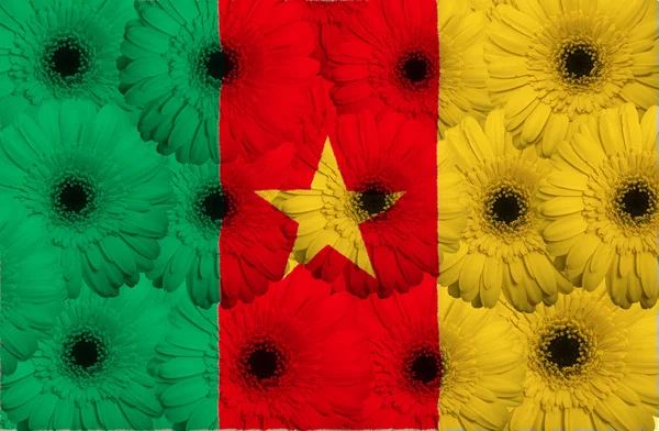Стилизованный национальный флаг Камеруна с цветами герберы — стоковое фото