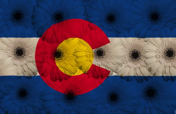 Stylized flag of american state of colorado with gerbera flo — Stock Photo, Image