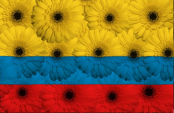 Bandera nacional estilizada de columbia con flores de gerberas — Foto de Stock