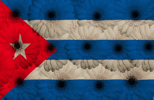 Drapeau national stylisé de cuba avec des fleurs de gerbera — Photo