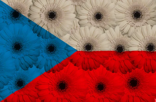ガーベラの花を持つチェコの様式化された国旗 — ストック写真