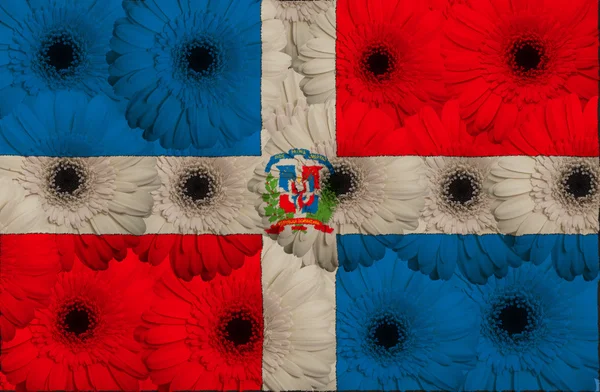 Bandera nacional estilizada de dominicano con flores de gerberas — Foto de Stock