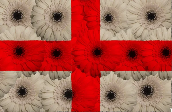 Bandera nacional estilizada de ecuador con flores de gerberas —  Fotos de Stock