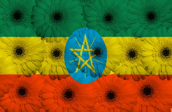 Drapeau national stylisé de l'ethiopie avec des fleurs de gerbera — Photo