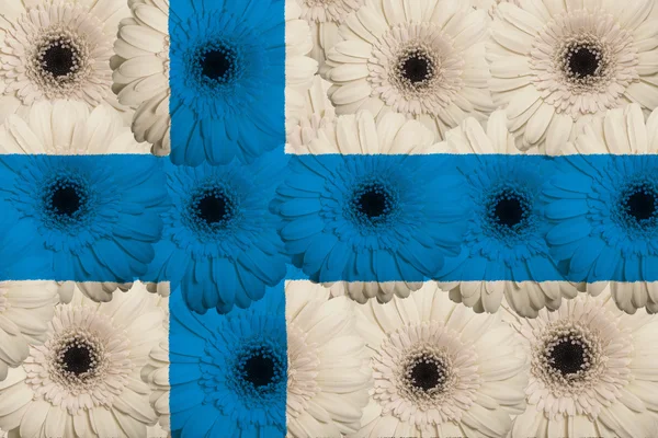 Στυλιζαρισμένη εθνική σημαία της Φινλανδίας με λουλούδια gerbera — Φωτογραφία Αρχείου